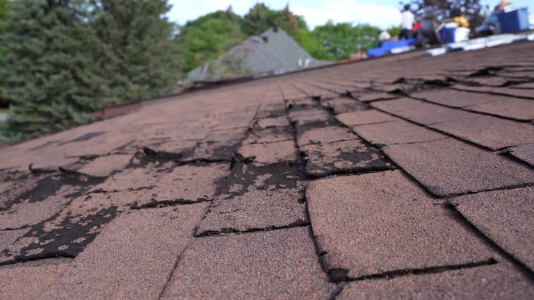Reliable West Ocean City, MD Roofing Service Solutions