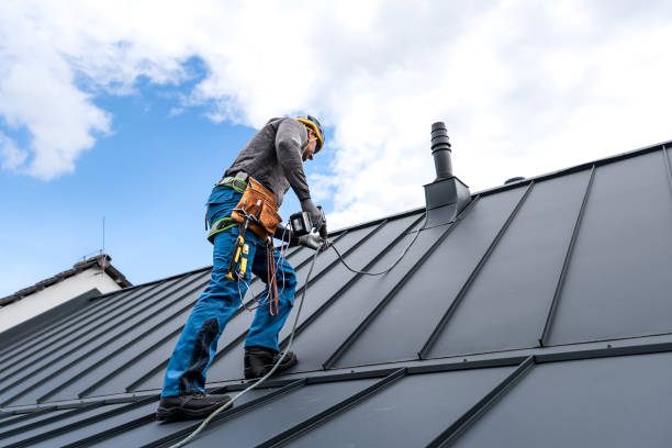 Best Sheet Metal Roofing  in West Ocean City, MD